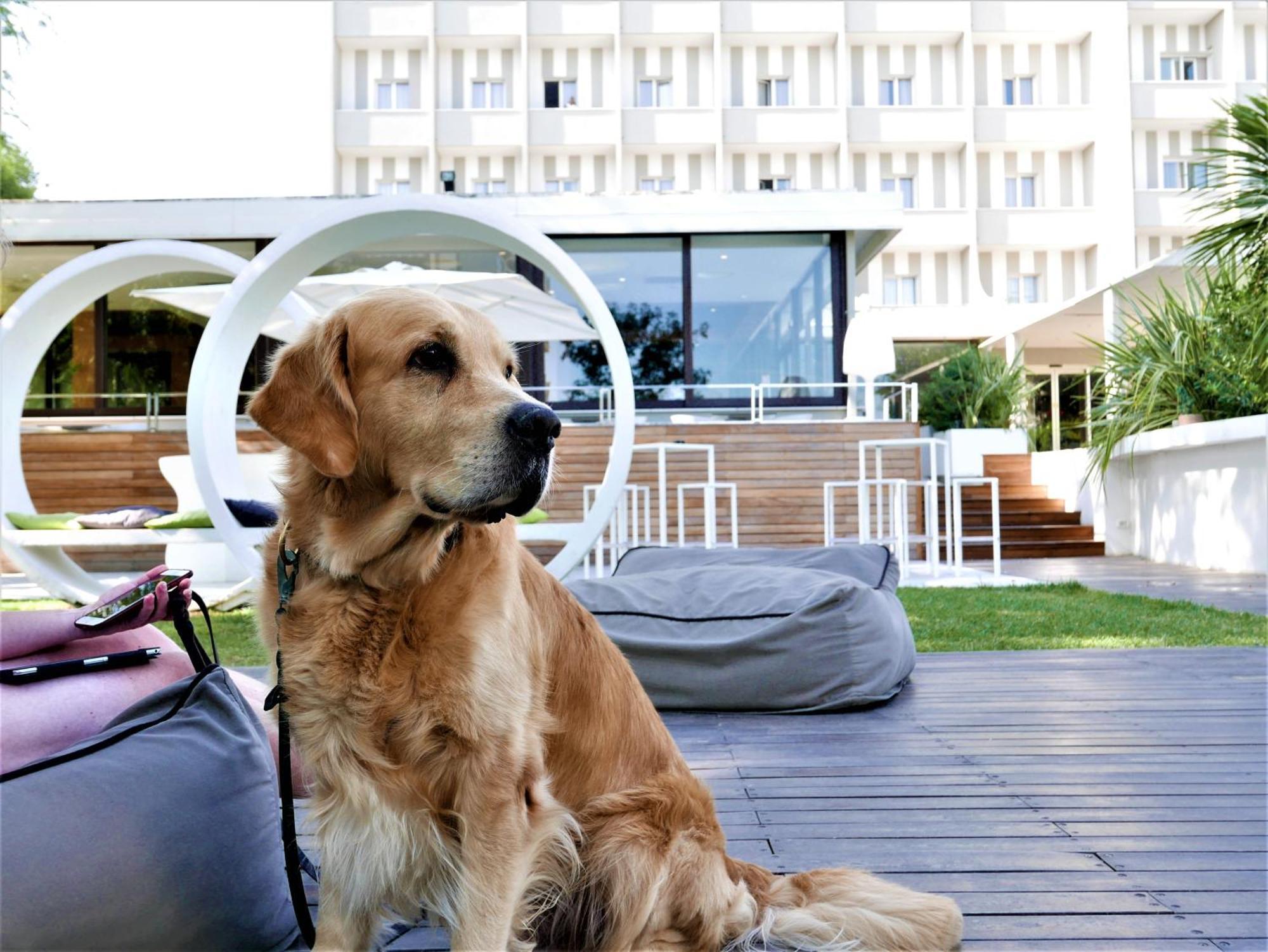 Oxygen Lifestyle Hotel Viserbella di Rimini Exteriér fotografie